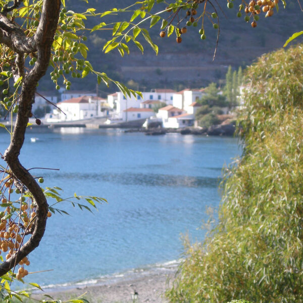 kyparisi tyros monemvasia