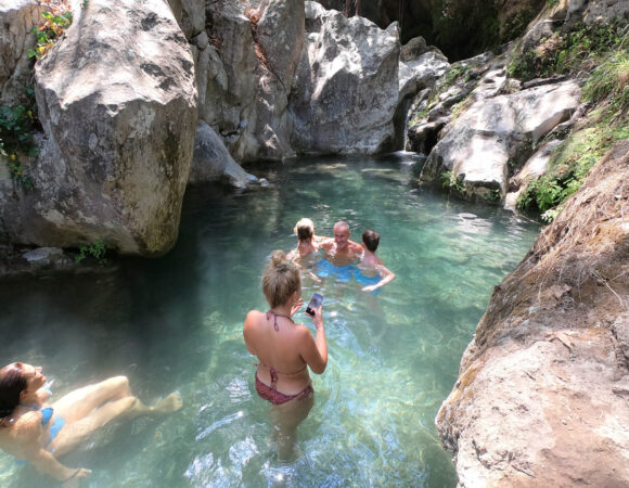 methena diavologefiro