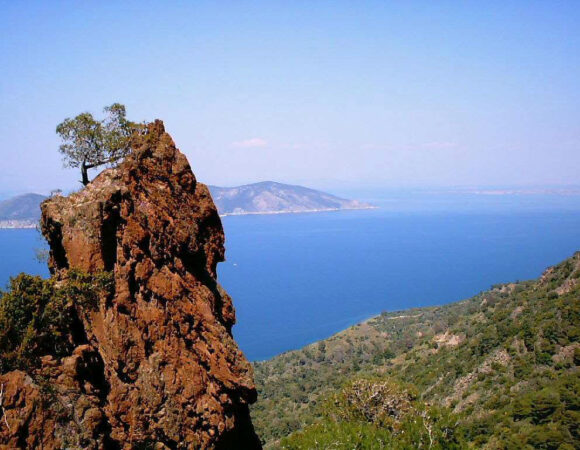 tyros leonidio kiparisi