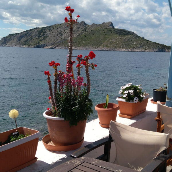 aegina island perdika