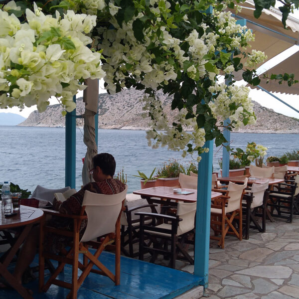 aegina island perdika