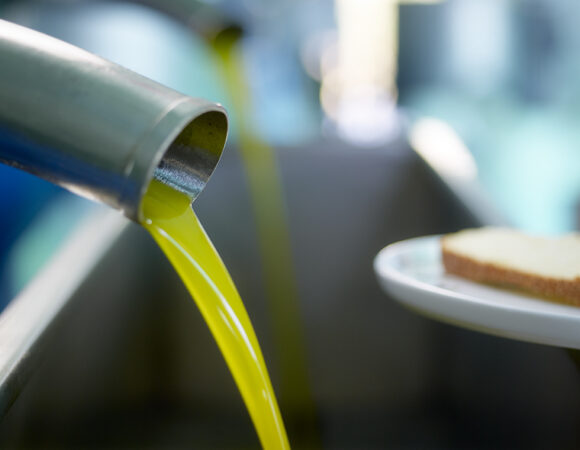 olive press tasting melas