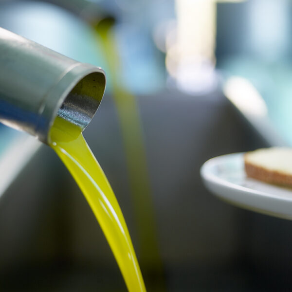 olive press tasting melas