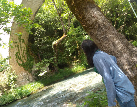 dimitsana lousios river