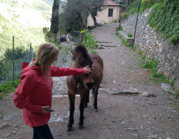 dimitsana lousios monasteries