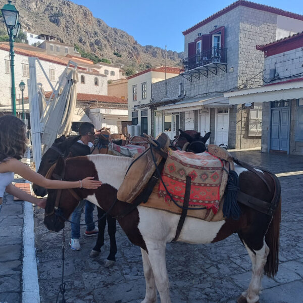 hydra island horses people animals