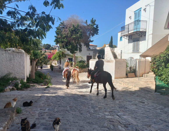 Why Private Tours? Why Travelers Go Private?