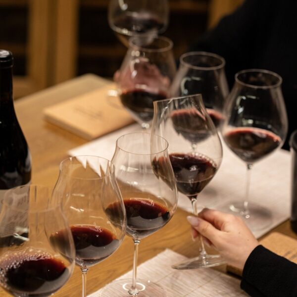 WINERY KASTORIA KYRYIANNI BOUTARI