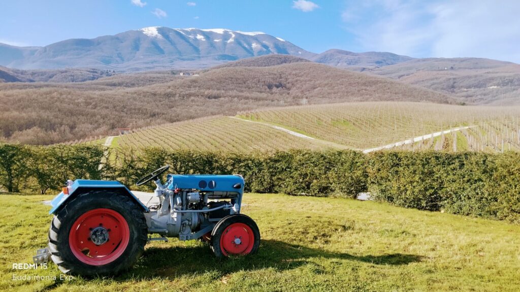 WINERY AMYNTAION KYRYIANNI