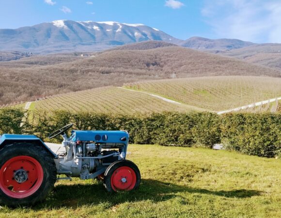 WINERY AMYNTAION KYRYIANNI