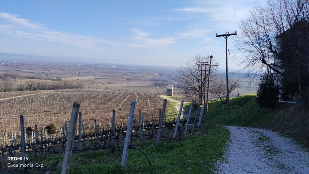 WINERY AMYNTAION KYRYIANNI